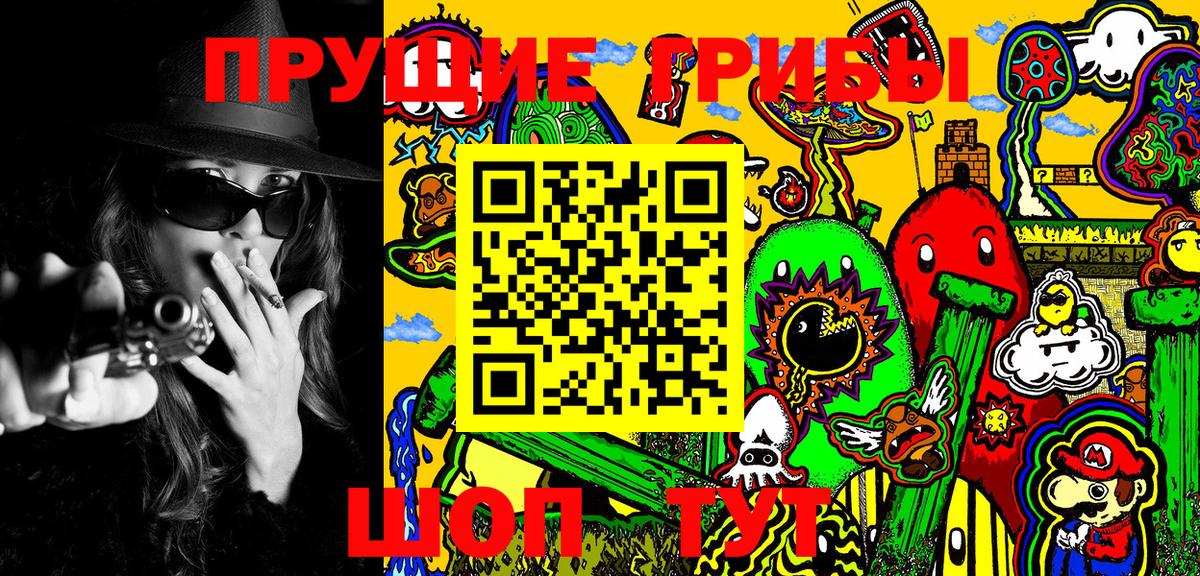Псилоцибиновые грибы Psilocybine cubensis Михайловск